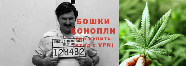 прущие грибы Покров