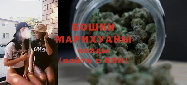 прущие грибы Покров