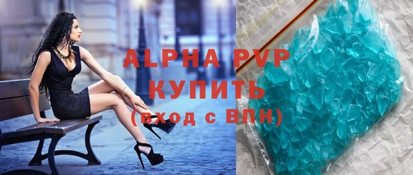 прущие грибы Покров