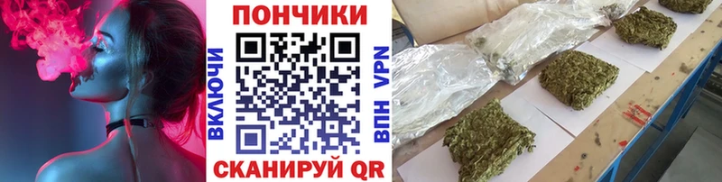 Канабис конопля как найти Яранск